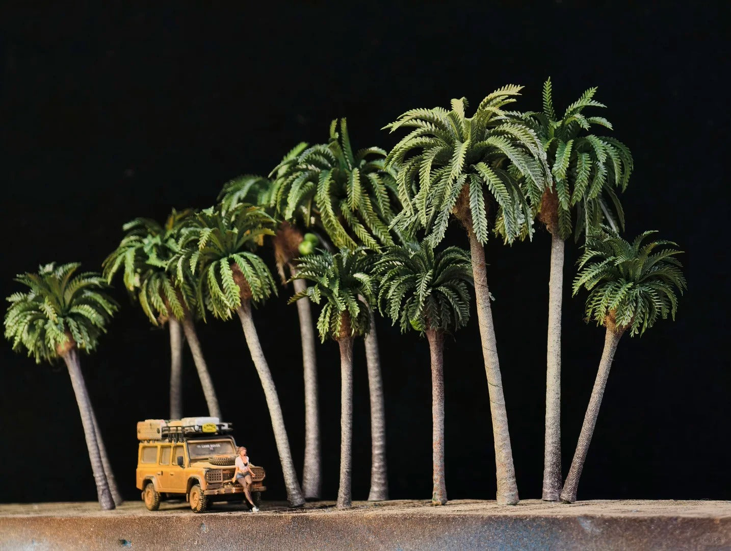 Bringing the Breeze of the Tropics Into 1:64