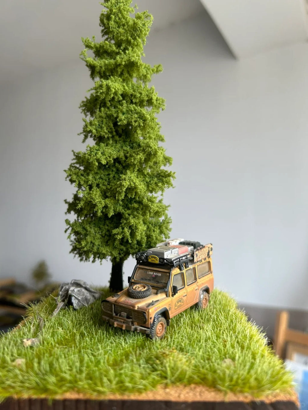 A Small Patch of Grass, Just for You