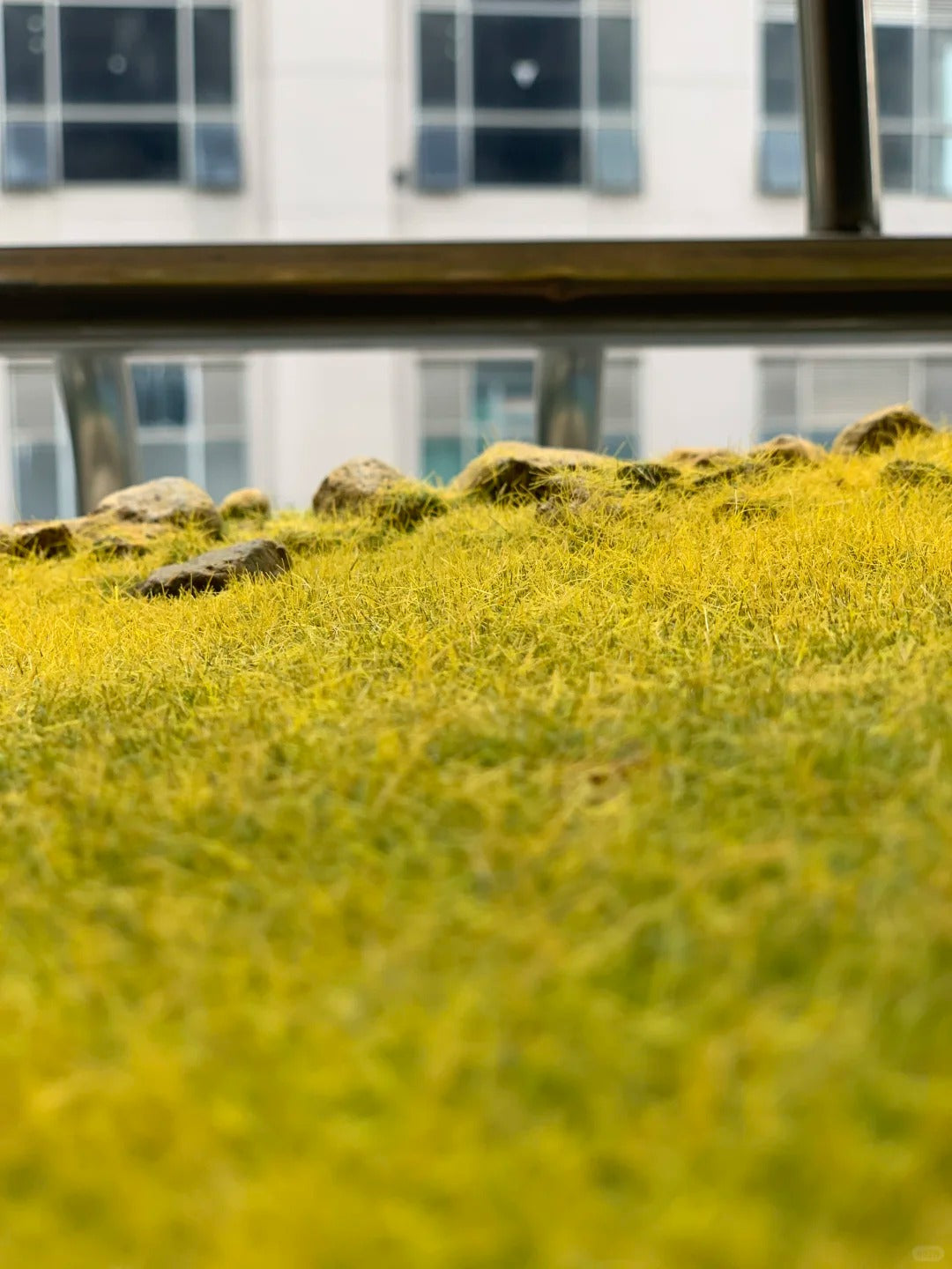 1:64 Scale Miniature Scene & Grassland Car Display Base